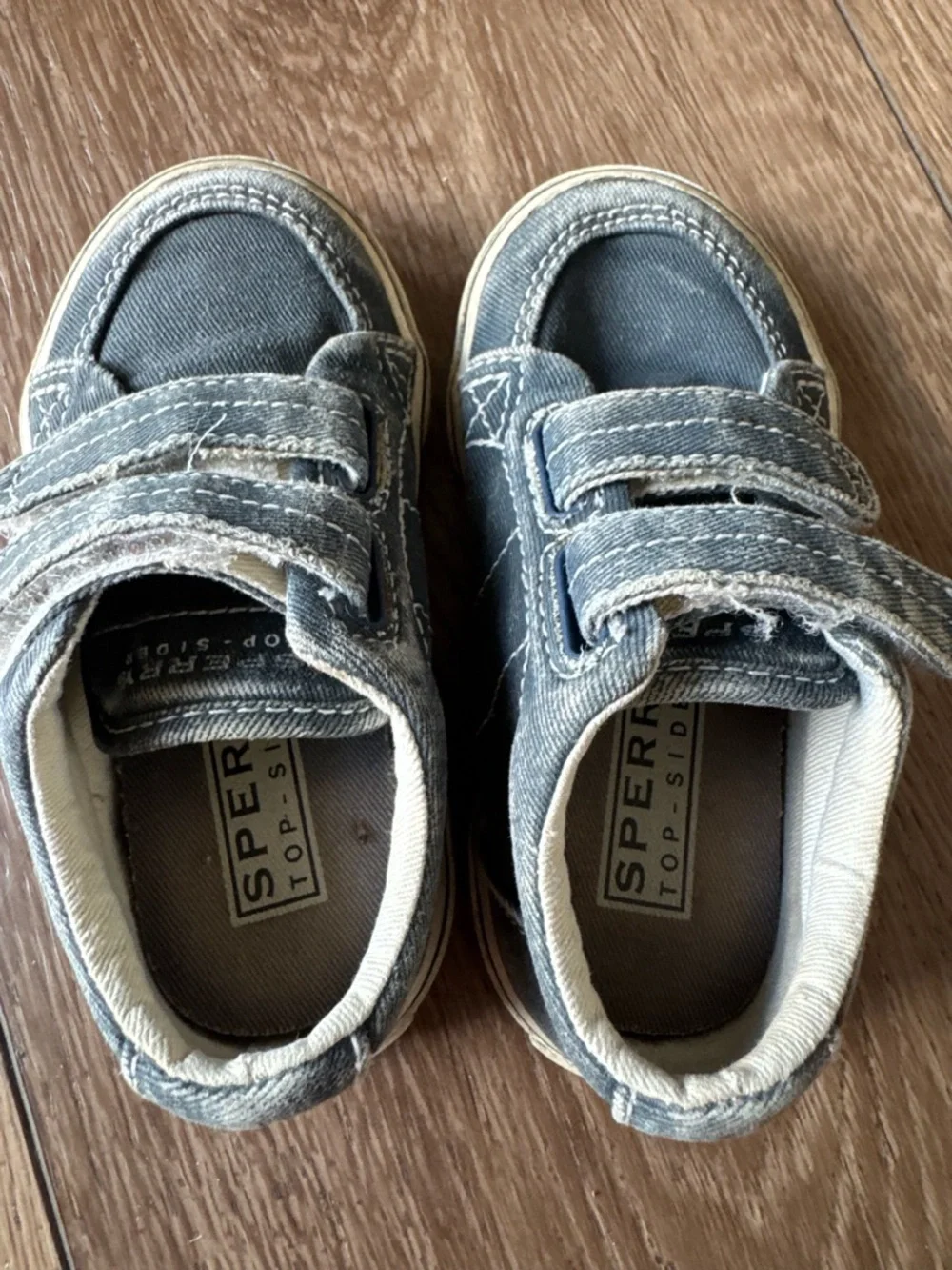 Sperry Kids Gray Canvas Hook-and-Loop Sneakers
